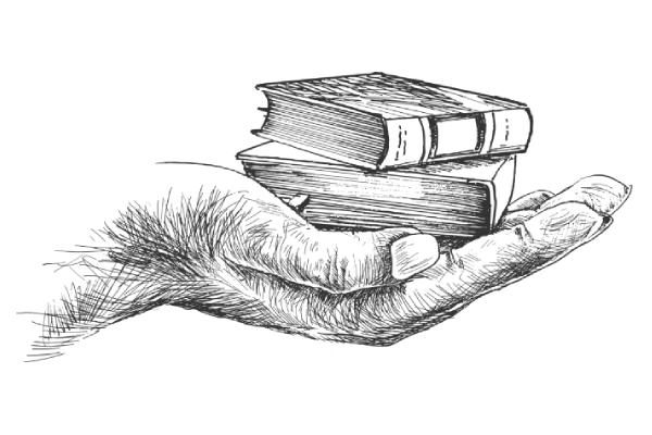 programs